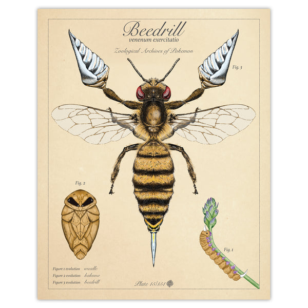 Beedrill - Vintage Style Pokemon Print - 8x10 or 16x20 inches