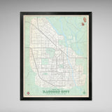 Raccoon City Vintage Style 16x20 Inch Map