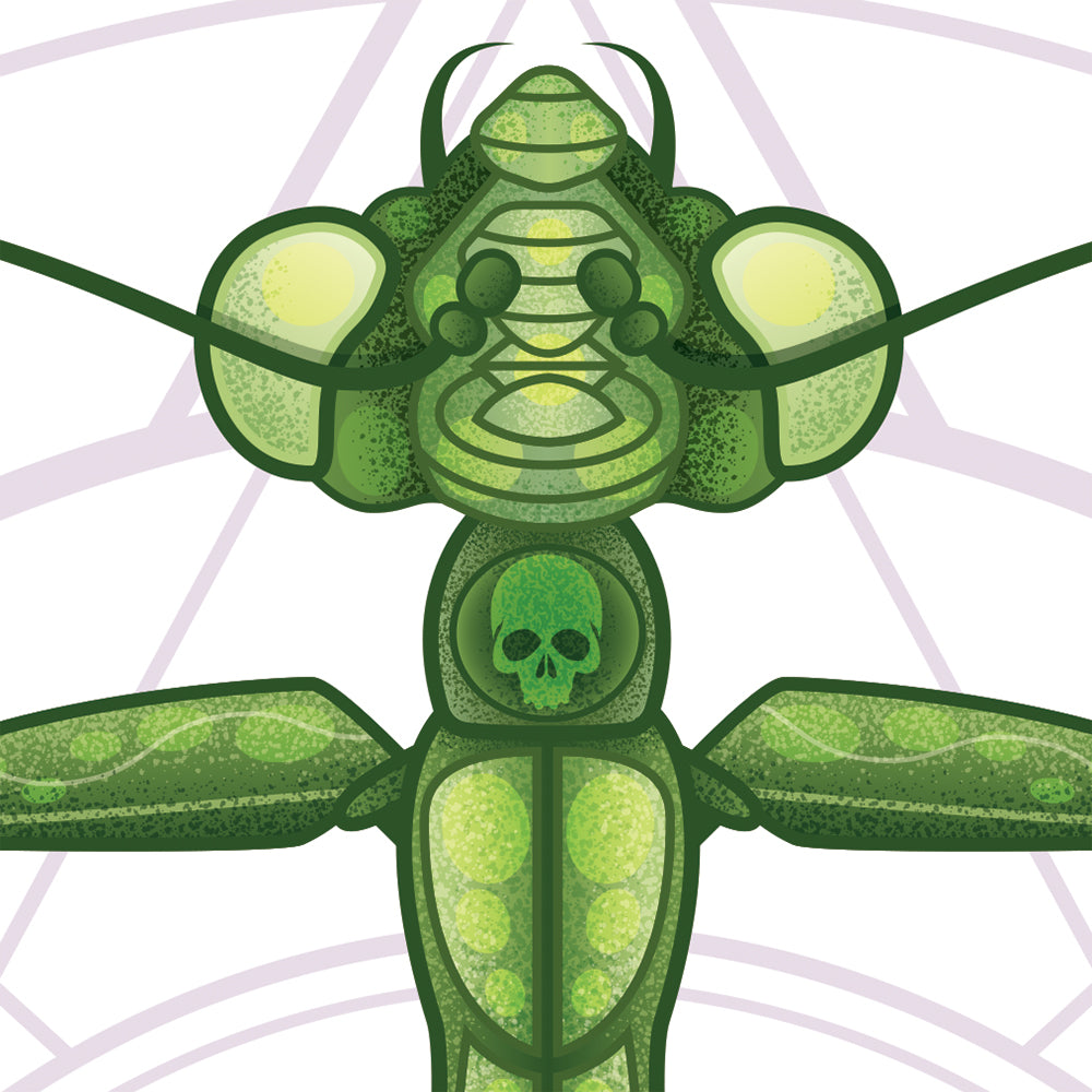 Praying Mantis Graphic Print - 16x20 inches – KnerdKraft