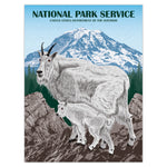 Mountain Goats at Mount Rainier Illustration Print - 18x24