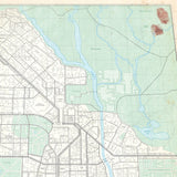 Raccoon City Vintage Style 16x20 Inch Map