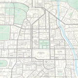 Raccoon City Vintage Style 16x20 Inch Map