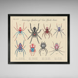 Amazing Spiders of New York - Vintage Style Biology Print - 8x10 or 16x20 inches