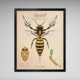 Beedrill - Vintage Style Pokemon Print - 8x10 or 16x20 inches