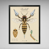 Beedrill - Vintage Style Pokemon Print - 8x10 or 16x20 inches
