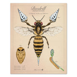 Beedrill - Vintage Style Pokemon Print - 8x10 or 16x20 inches