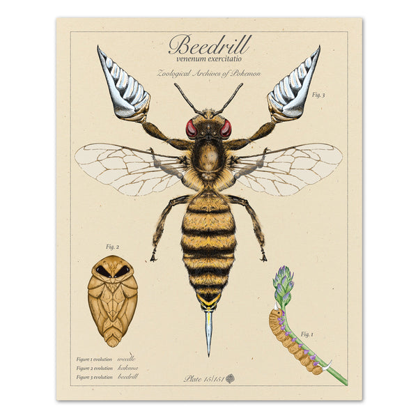 Beedrill - Vintage Style Pokemon Print - 8x10 or 16x20 inches