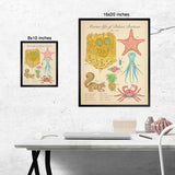 Marine Life of Bikini Bottom - Vintage Style Scientific Illustration - 8x10 or 16x20 inches