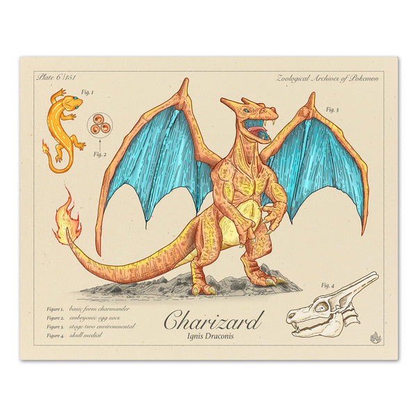 Charizard - Vintage Style Pokemon Print - 8x10 or 16x20 inches