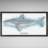 Great White Shark - Watercolor Style Illustration - 10x20 inches
