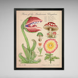 Super Mushroom - Vintage Style Mario Illustration (8x10 or 16x20 inches)