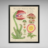 Super Mushroom - Vintage Style Mario Illustration (8x10 or 16x20 inches)