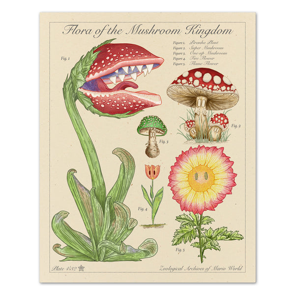 Super Mushroom - Vintage Style Mario Illustration (8x10 or 16x20 inches)