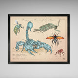 Dangerous Insects of the Mojave - Vintage Style Fallout Print - 8x10 or 16x20 inches