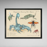 Dangerous Insects of the Mojave - Vintage Style Fallout Print - 8x10 or 16x20 inches