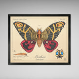 Mothra - Queen of Monsters - Vintage Style Scientific Illustration - 8x10 or 16x20 inches