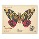 Mothra - Queen of Monsters - Vintage Style Scientific Illustration - 8x10 or 16x20 inches