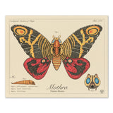 Mothra - Queen of Monsters - Vintage Style Scientific Illustration - 8x10 or 16x20 inches