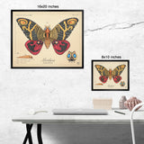 Mothra - Queen of Monsters - Vintage Style Scientific Illustration - 8x10 or 16x20 inches