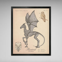Thestral - Vintage Style  Illustration (8x10 or 16x20 inches)