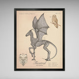 Thestral - Vintage Style  Illustration (8x10 or 16x20 inches)