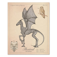 Thestral - Vintage Style  Illustration (8x10 or 16x20 inches)