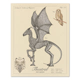 Thestral - Vintage Style  Illustration (8x10 or 16x20 inches)