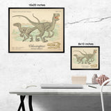 Velociraptor - Dinosaurs of the Cretaceous Period - Scientific Style Print - 8x10 or 16x20 inches (Copy)