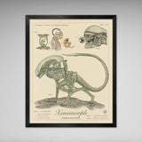 Xenomorph - Vintage Style Aliens Illustration (8x10 or 16x20 inches)