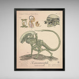 Xenomorph - Vintage Style Aliens Illustration (8x10 or 16x20 inches)
