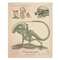 Xenomorph - Vintage Style Aliens Illustration (8x10 or 16x20 inches)