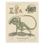Xenomorph - Vintage Style Aliens Illustration (8x10 or 16x20 inches)