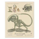 Xenomorph - Vintage Style Aliens Illustration (8x10 or 16x20 inches)