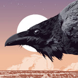 Raven at Sunset - Illustration Print - 16x20