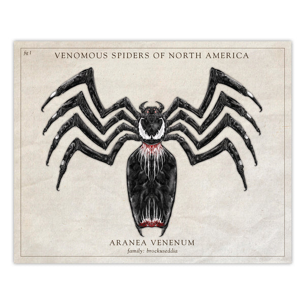 Venomous Spiders of North America (Bockuseddia) - Vintage Style Scientific Print - 8x10 or 16x20 inches