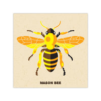 Mason Bee - Graphic Icon Print - 8x8
