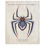 Amazing Spiders of North America (milesmoralesia) - Vintage Style Scientific Print - 8x10 or 16x20 inches