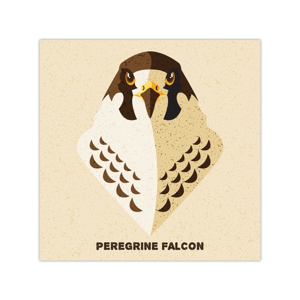 Peregrine Falcon - Graphic Icon Print - 8x8