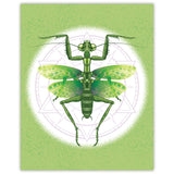Praying Mantis Graphic Print - 16x20 inches