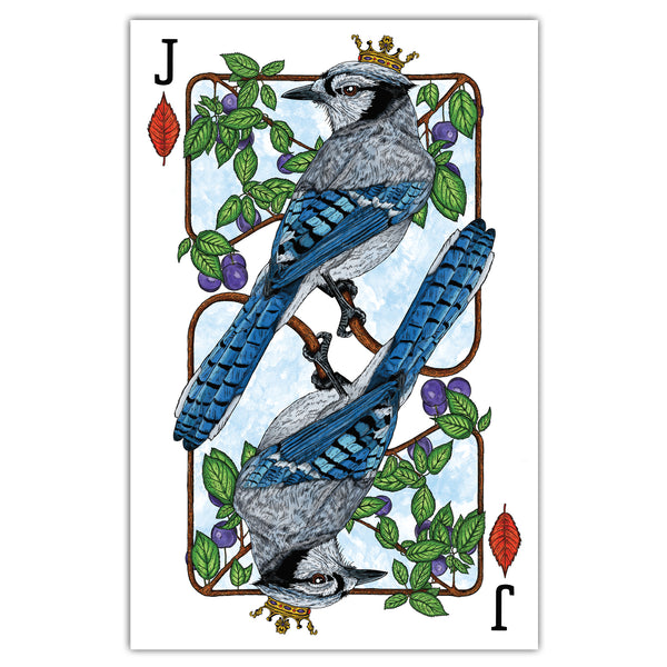 Royal Blue Jay - Playing Card Print - 11x17