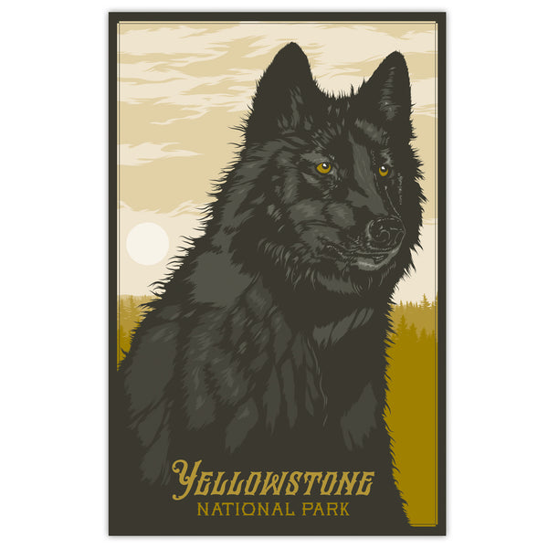 Yellowstone National Park - The Black Wolf - 11x17