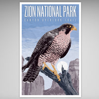 Zion National Park Print - Peregrine Falcon on Canyon Overlook Trail - 11x17 inches
